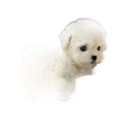Boneco Cachorrinho Robô